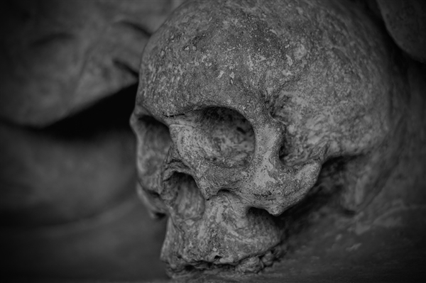 骇人发现!最新研究:18000年前人类食人脑行为惊现证据